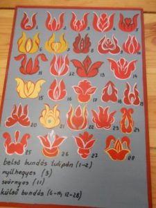 tulipanok-onallo-jelentesekkel-3